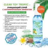 Очищающий спрей для игрушек CLEAR TOY Tropic - 100 мл. - Биоритм - купить с доставкой в Перми