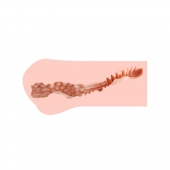 Мастурбатор-вагина Monica без вибрации - KOKOS - в Перми купить с доставкой