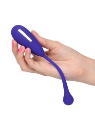 Фиолетовый шарик с электростимуляцией и вибрацией Intimate E-Stimulator Remote Kegel Exerciser - California Exotic Novelties - купить с доставкой в Перми