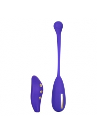 Фиолетовый шарик с электростимуляцией и вибрацией Intimate E-Stimulator Remote Kegel Exerciser - California Exotic Novelties - купить с доставкой в Перми