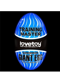 Мастурбатор-яйцо Giant Egg Climax Spirals Edition - Lovetoy - в Перми купить с доставкой