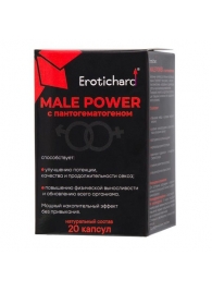 Капсулы для мужчин Erotichard male power с пантогематогеном - 20 капсул (0,370 гр.) - Erotic Hard - купить с доставкой в Перми