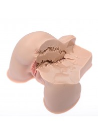 Мастурбатор-полуторс Naked Factory Kate - Naked Factory - в Перми купить с доставкой