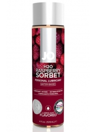 Лубрикант на водной основе с ароматом малины JO Flavored Raspberry Sorbet - 120 мл. - System JO - купить с доставкой в Перми