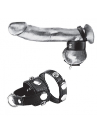 Утяжка для мошонки и пениса Cock Ring With 1  Ball Stretcher And Optional Weight Ring - BlueLine - купить с доставкой в Перми