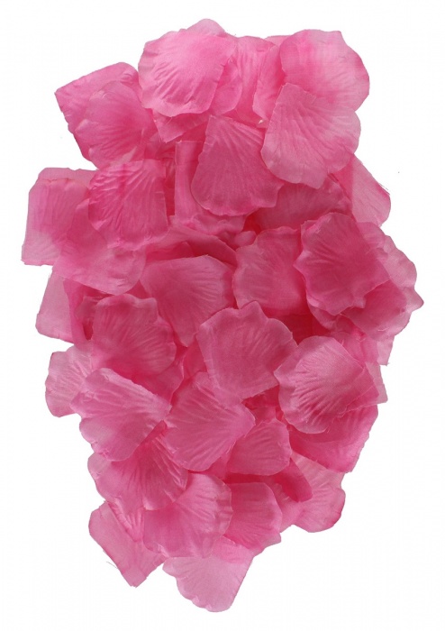 Эротический набор FANTASTIC PURPLE SEX TOY KIT - Toy Joy - купить с доставкой в Перми