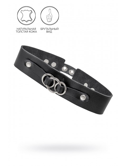 Черный чокер-ошейник со связанными кольцами на подложке - Pecado - купить с доставкой в Перми