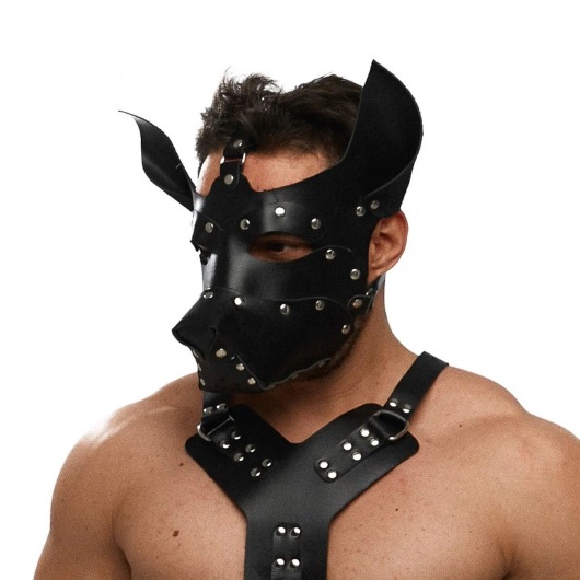 Черная кожаная маска «Собака» - Crazy Handmade - купить с доставкой в Перми