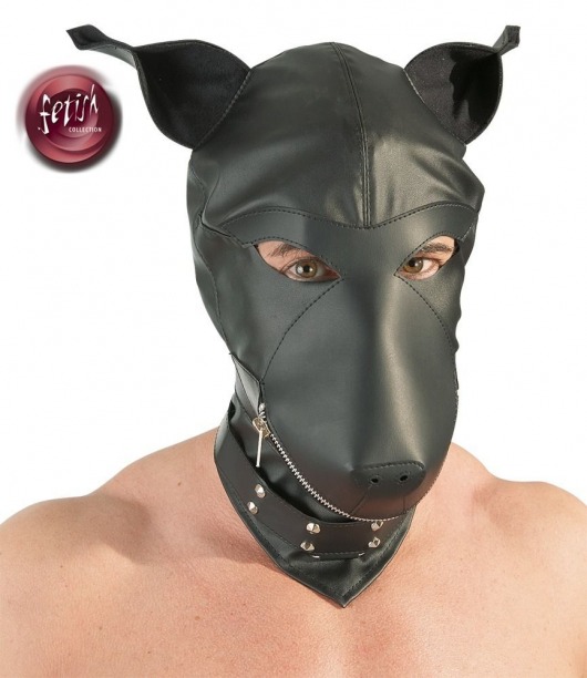 Шлем-маска Dog Mask в виде морды собаки - Orion - купить с доставкой в Перми