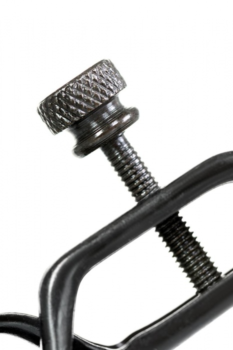 Черно-золотистые зажимы для сосков TOYFA Theatre - ToyFa - купить с доставкой в Перми